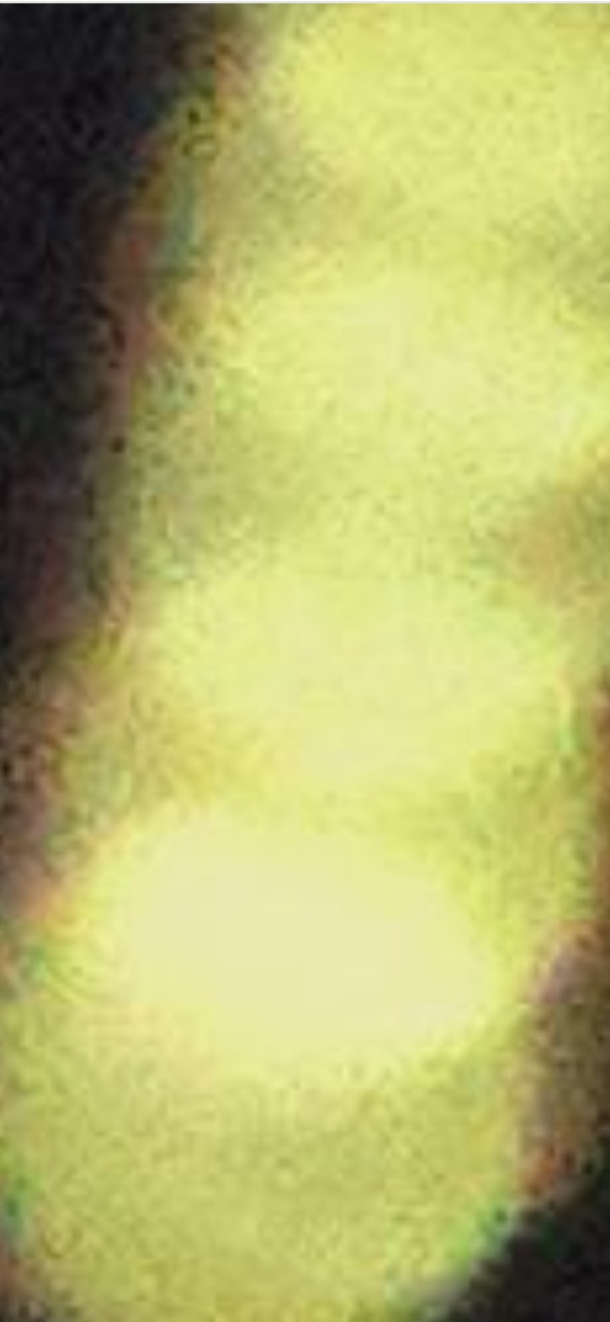 NEUTRONS.