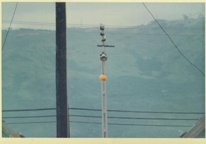 can you tell what time of year ?