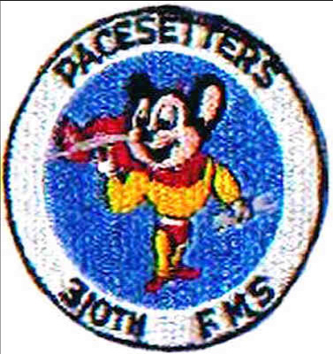 310th FMS Schilling AFB (SAC)