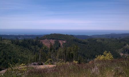 View from NE of Eureka Ca in the woods