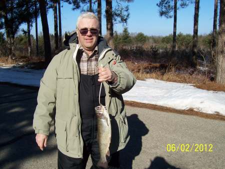 17 1/2 Brown Trout caught ice fishing