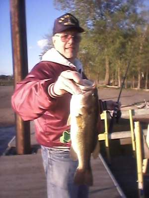 2 1/2 lb Large Mouth Bass