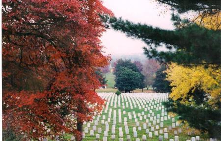 Arlington Cemetary