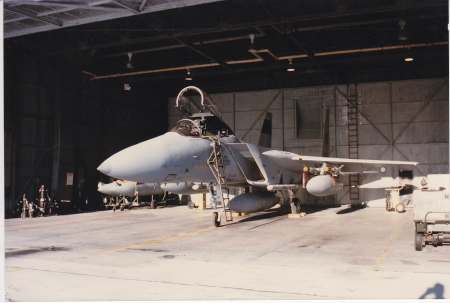 F15 in Combat Alert Cell