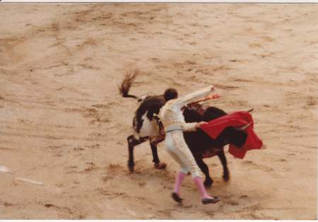 Spanish Bullfight