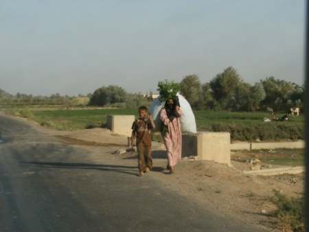 Local Iraqis