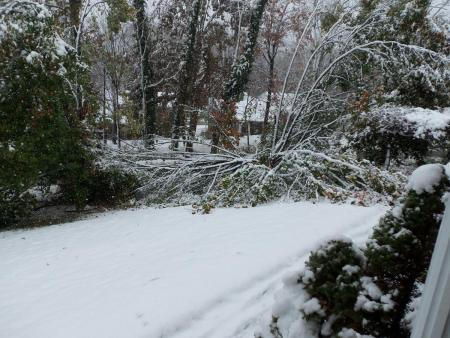 Snow in WV