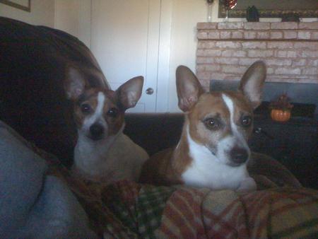 Peewee & Cecil