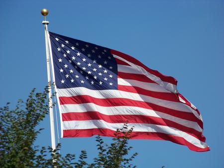 THE NATIONAL FLAG