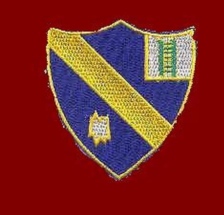 54th Infantry Patch