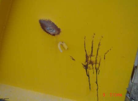 Bloody handprint