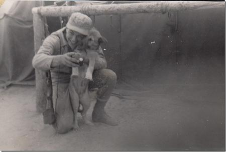 Korean Pet Dog