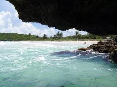 Great Snorkeling