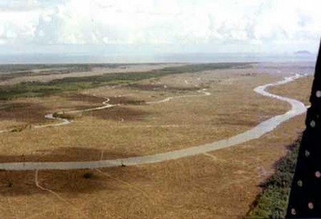 Two weeks after Agent Orange sprayed
