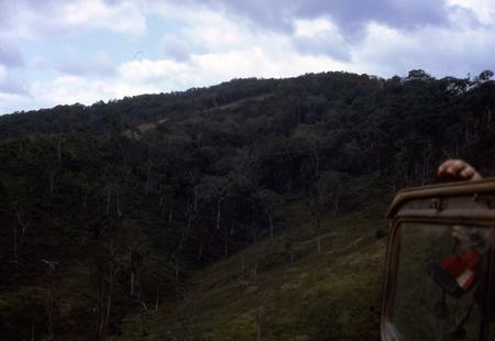 Camp Evans area