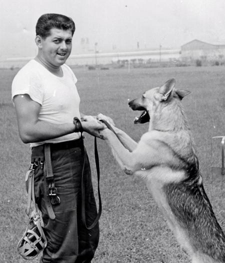 K-9 Training at Showa Air Station, Japan