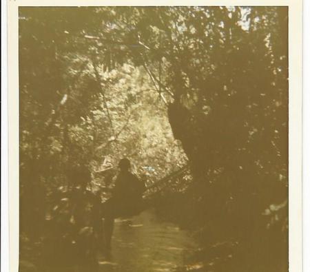 River Trail