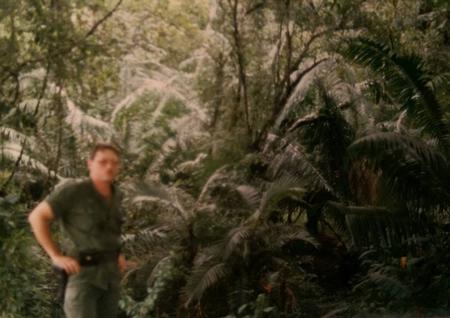 Patrolling the jungle