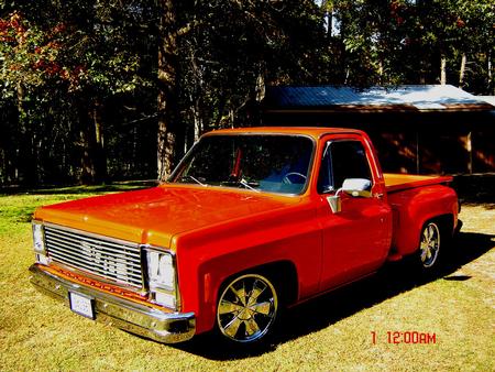 79 S-10 Fleetside