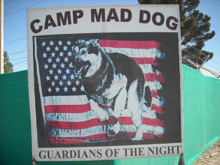 Camp Mad Dog