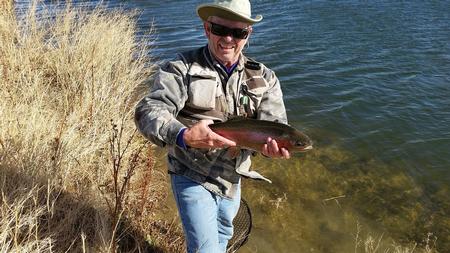 Montana trout