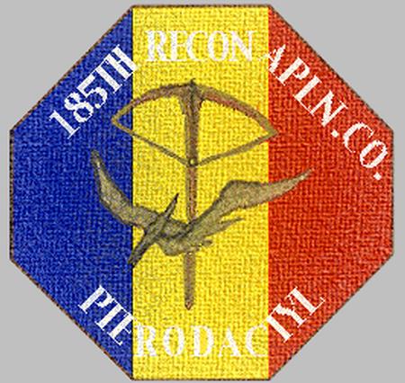 Unit patch 185 Pteroddactyls