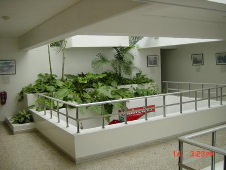 Gallery photo