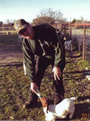 Down on the farm