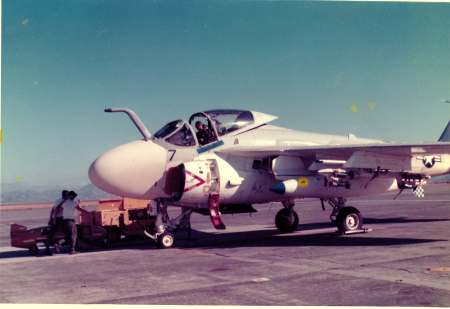 Bird #7 VMA (AW) 533