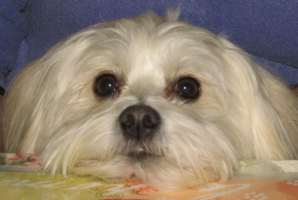 DaNang-The tall guy is Jim