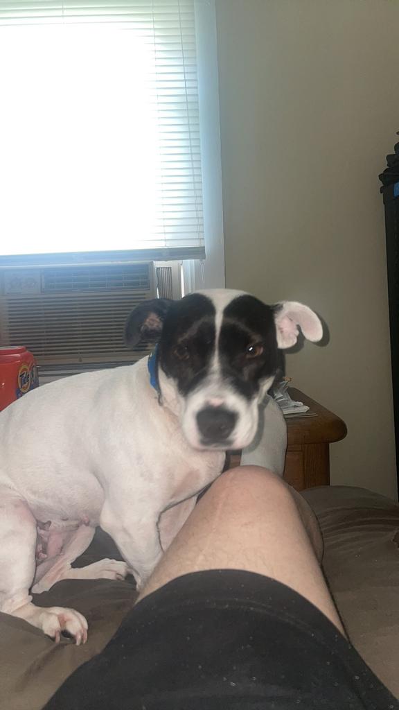 9-10-1974 POLICE OFFICER Kenneth R. Lands AGE 29 TOWN of FYFFE ALABAMA