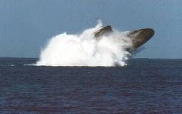 Buddies 1970 1971 Nam