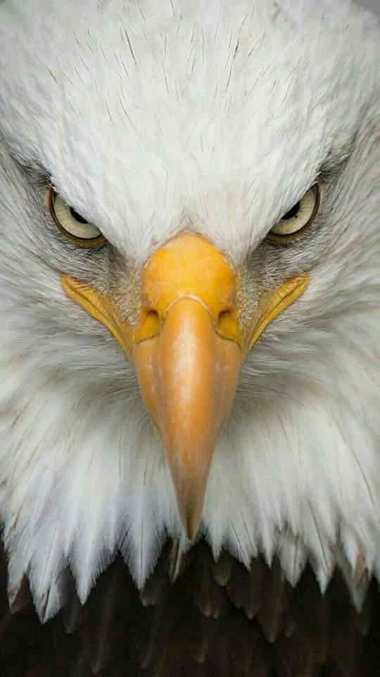 Promotion to A1C E-4