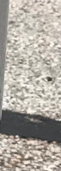 A26 Busted Nose Gear