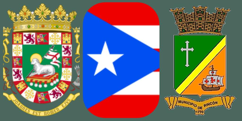 Blue Angels with a Flag