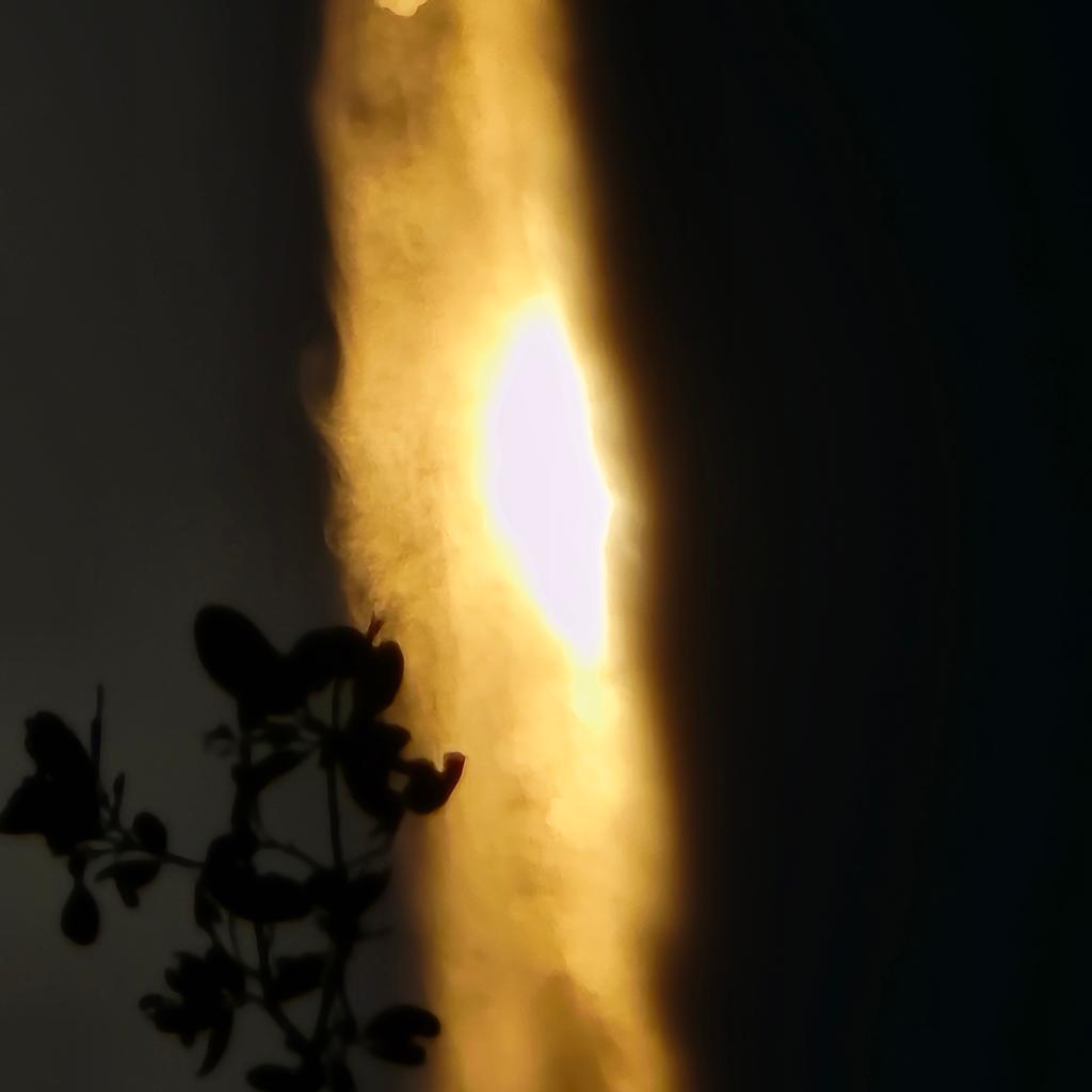 OPERATION. R.E. D. SEA.