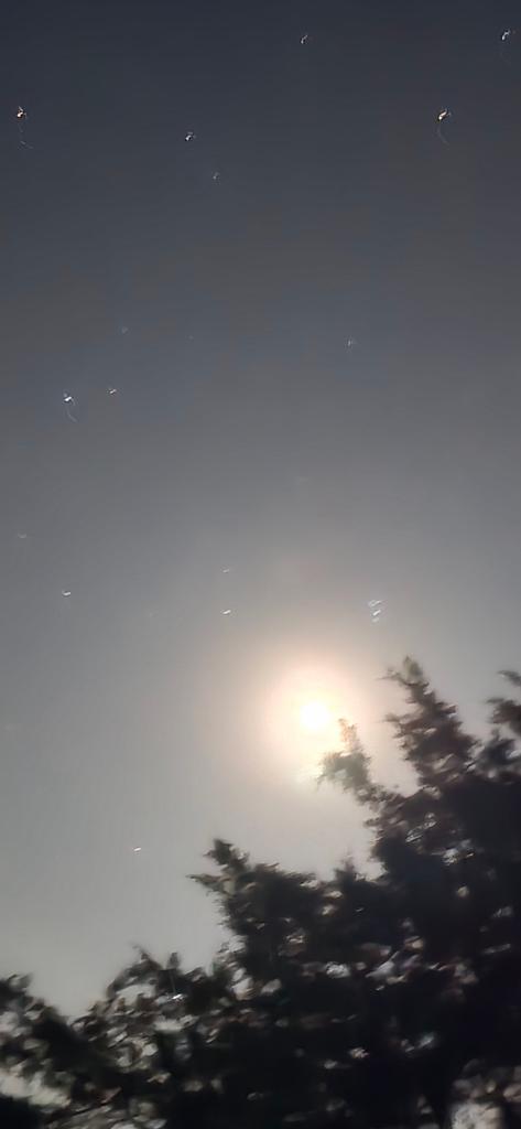 OPERATION. R.E. D. SEA.