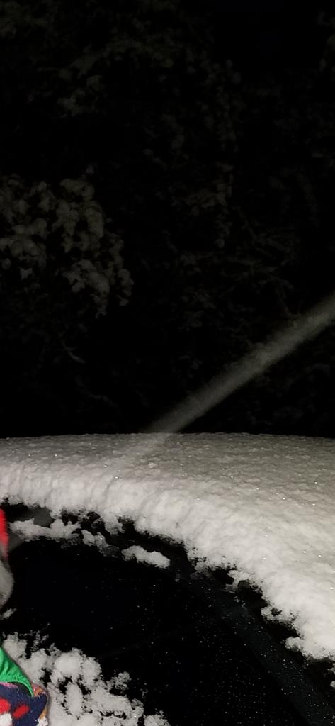 OPERATION. R.E. D. SEA.