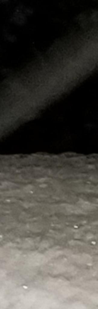 OPERATION. R.E. D. SEA.