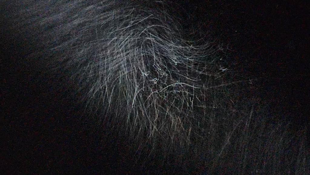 OPERATION. R.E. D. SEA.