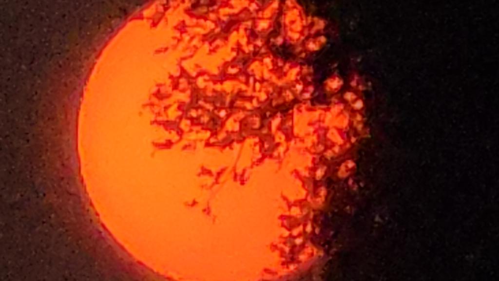 OPERATION. R.E. D. SEA.