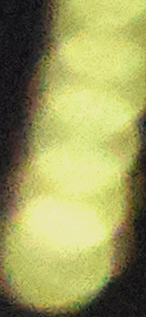 OPERATION. R.E. D. SEA.