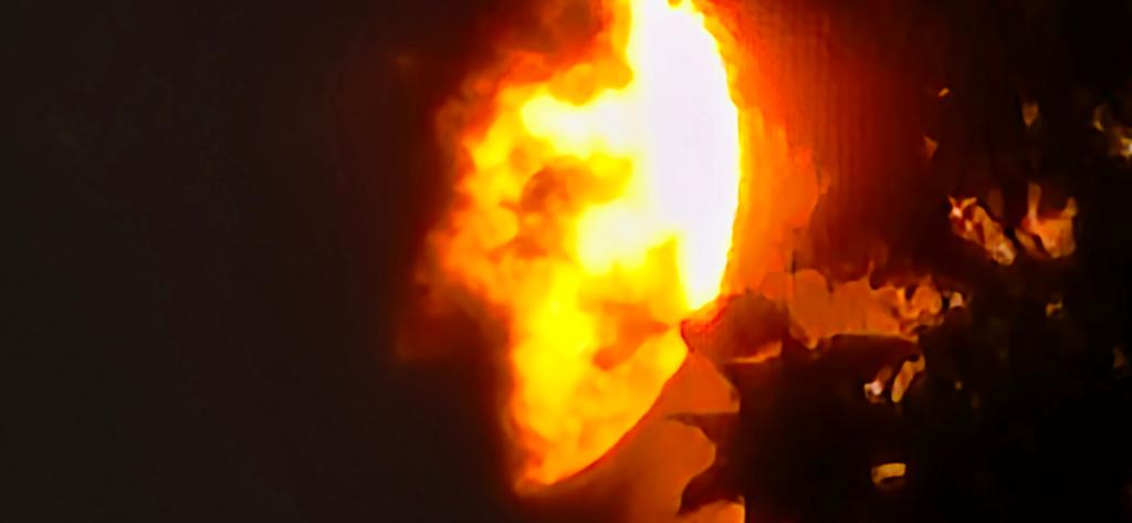 OPERATION. R.E. D. SEA.