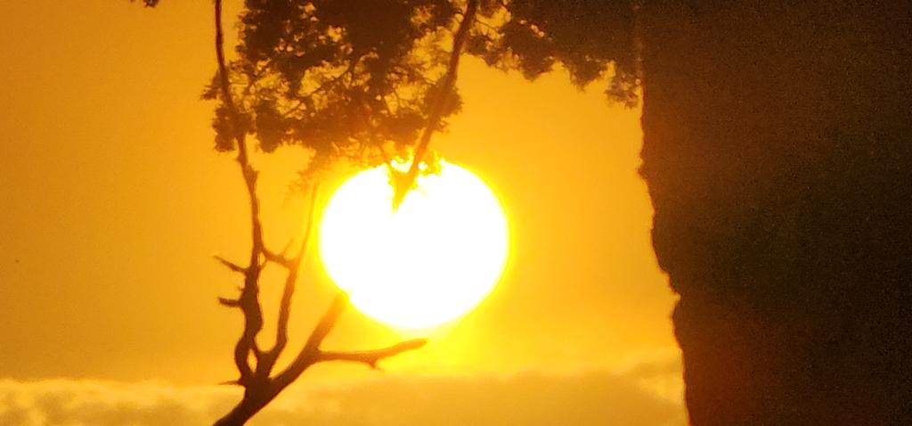 OPERATION. R.E. D. SEA.