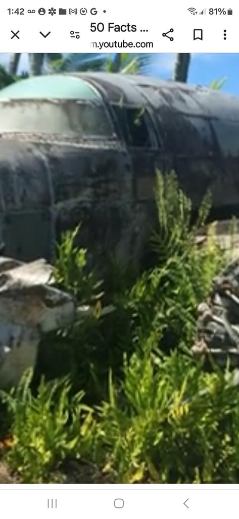 OPERATION. R.E. D. SEA.