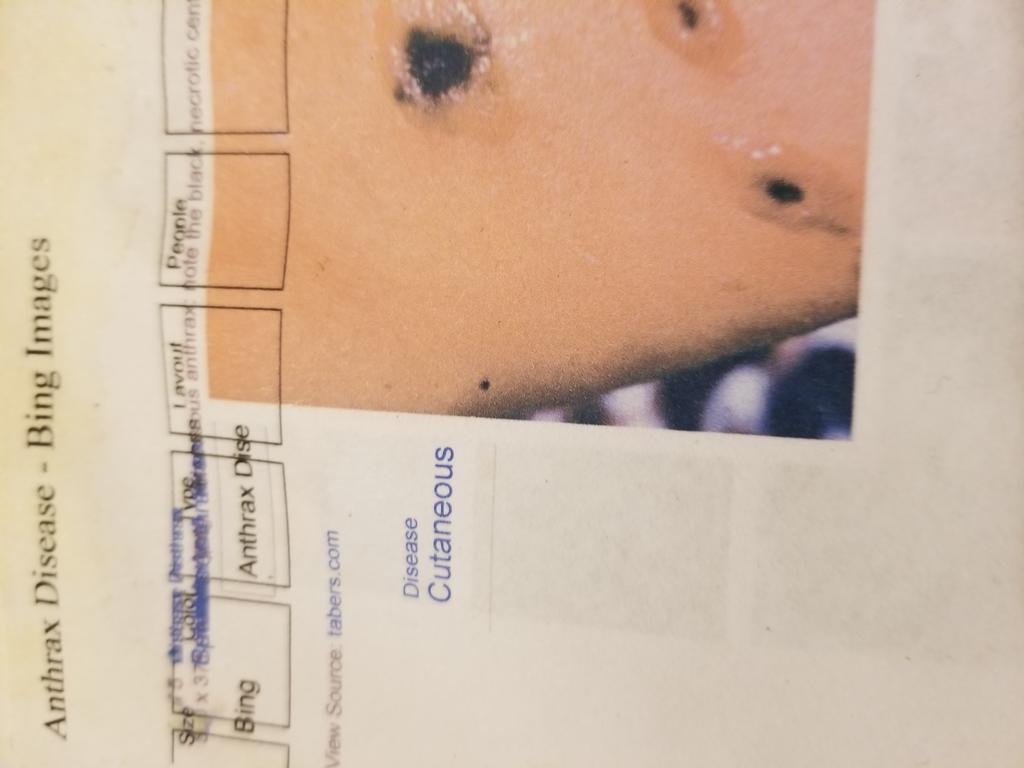 OPERATION. R.E. D. SEA.