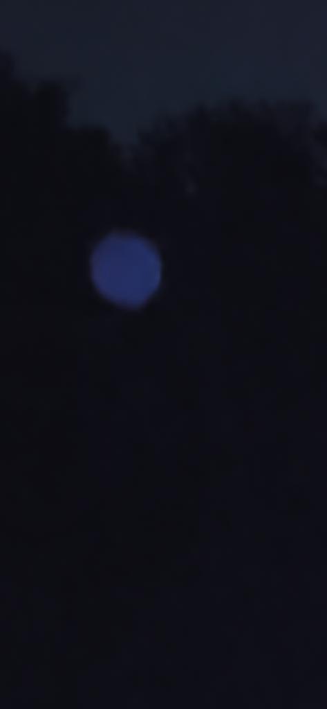 OPERATION. R.E. D. SEA.