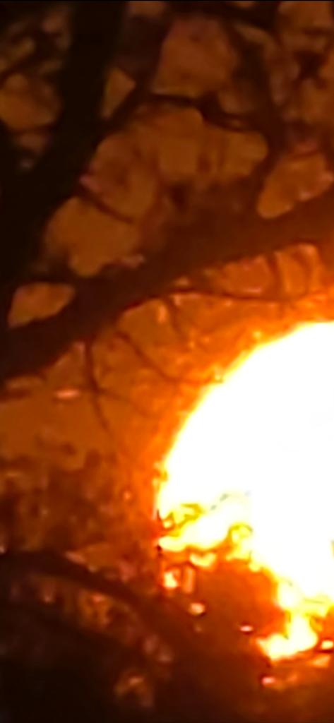 OPERATION. R.E. D. SEA.