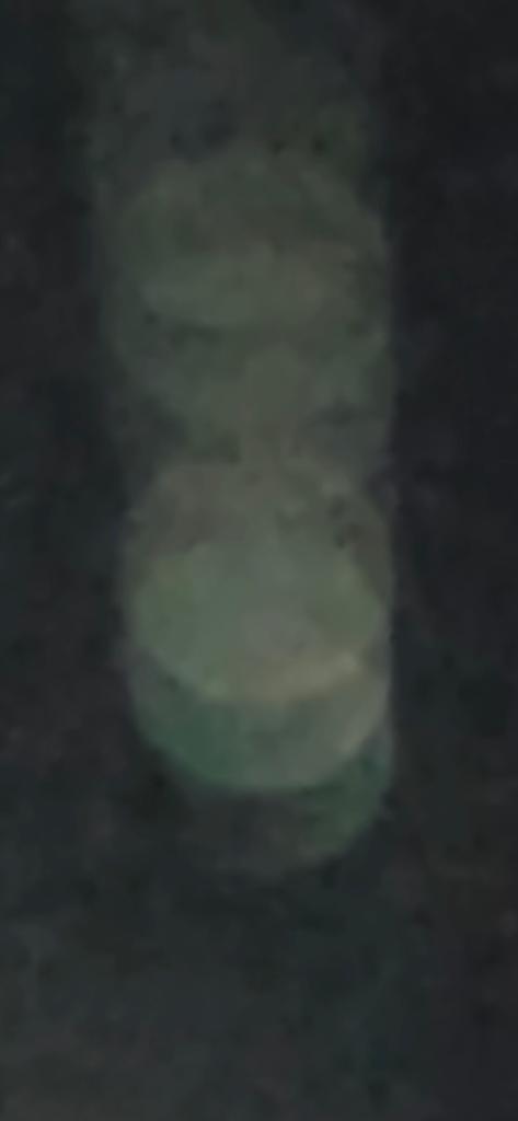 OPERATION. R.E. D. SEA.