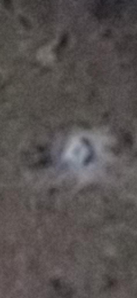 OPERATION. R.E. D. SEA.